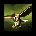 Swoop