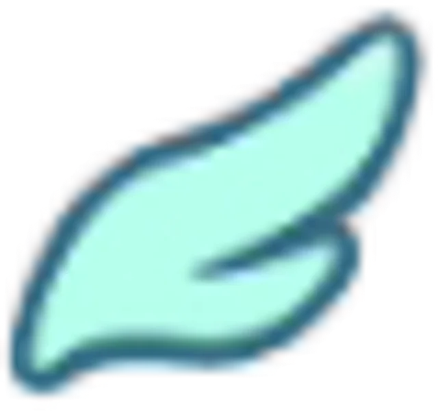 Fly