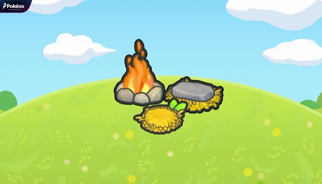 Campsite