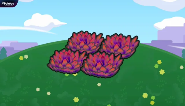 Elevated red tall grass