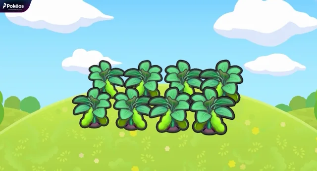 Fresh veggie field