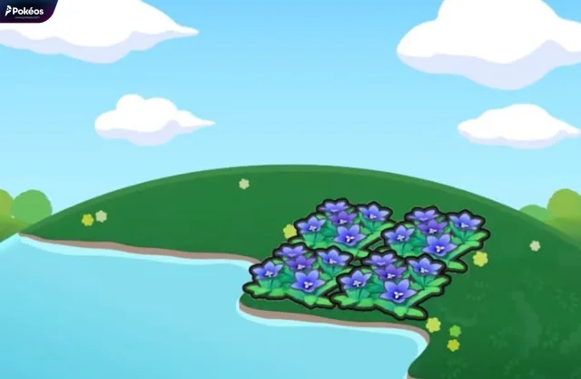 Hydrated graceful flower bed