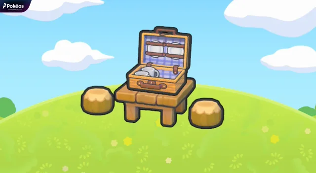 Picnic set