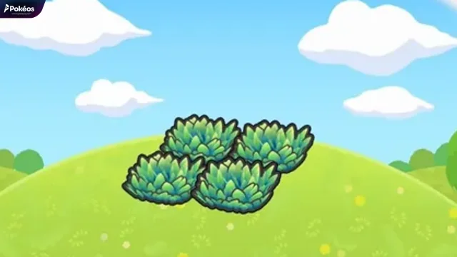 Tall grass