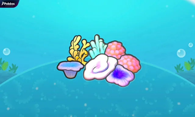 Coral congregation