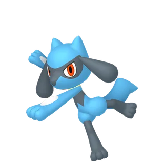 Riolu