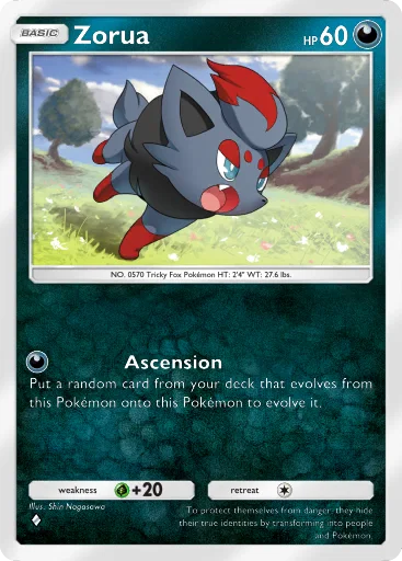 Zorua