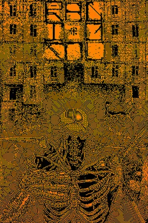 RADIOSOL cover art