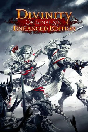 Divinity: Original Sin cover art