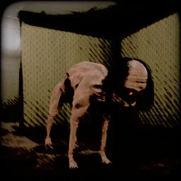 ENTITY #8 VICTIM