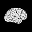 Inquisitive Mind