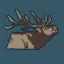 Roosevelt Elk