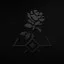 Wild Rose Dethorned