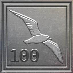 Is it a Bird?