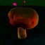Collect 10 mushrooms