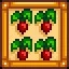Monoculture