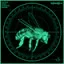 Extravehicular Activity