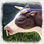 Veteran Rancher