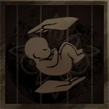 New Life Begins