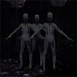 Explore The Creepy Woods Together