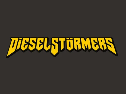 Rogue Stormers cover art