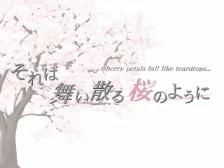 Cherry Petals Fall Like Teardrops cover art