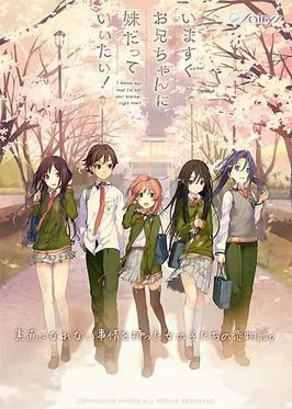 Ima Sugu Oniichan ni Imōto da tte Iitai! cover art