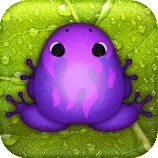 Pocket Frogs cover art