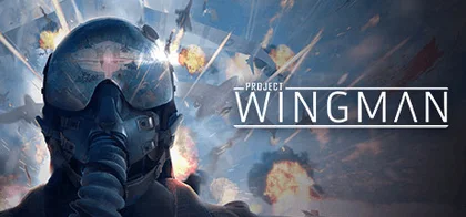 Project Wingman cover art