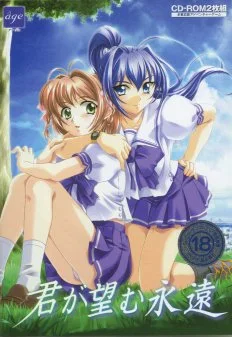 Kimi ga Nozomu Eien cover art