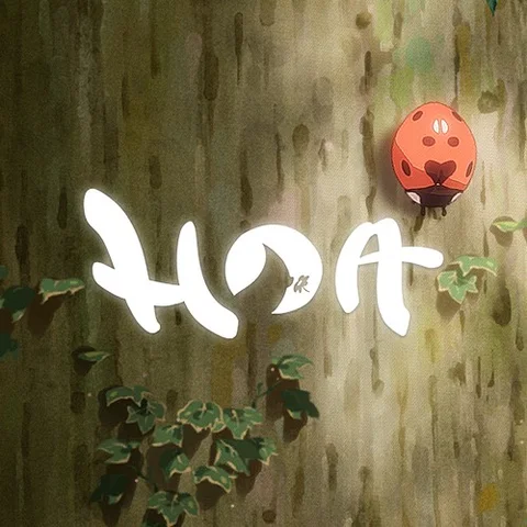 Hoa cover art