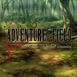 Adventure Field Remake cover art