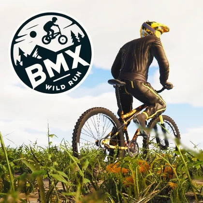 BMX Wild Run cover art