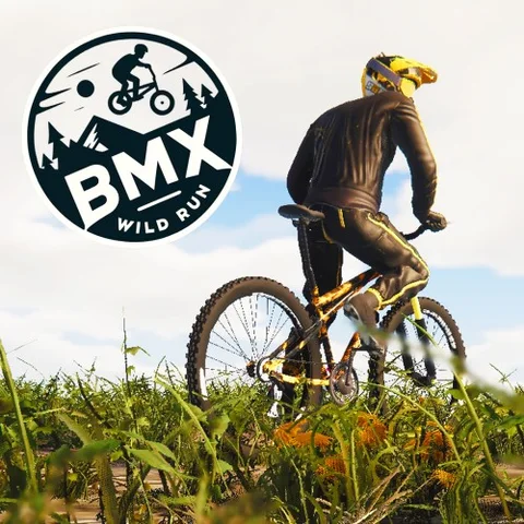 BMX Wild Run cover art