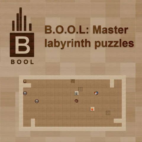B.O.O.L: Master labyrinth puzzles cover art