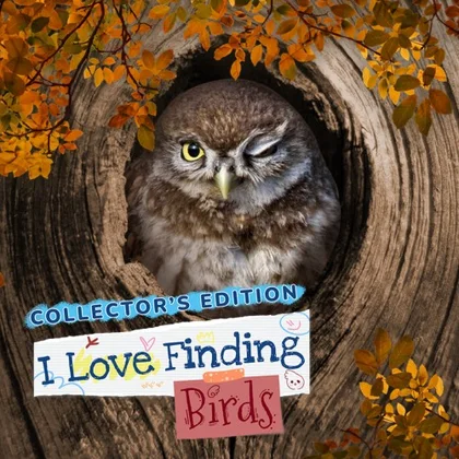 I Love Finding Birds Collector's Edition cover art