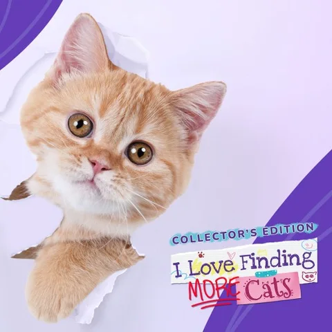 I Love Finding MORE Cats! - Collector's Edition cover art