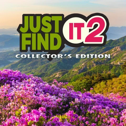 Just Find It 2 Collector's Edition cover art