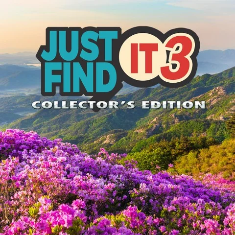 Just Find It 3 Collector's Edition cover art