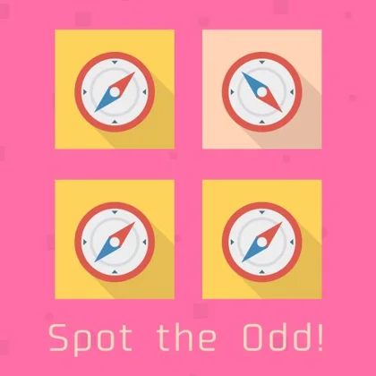 Spot the Odd! cover art