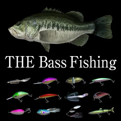 THE Bass Fishing cover art