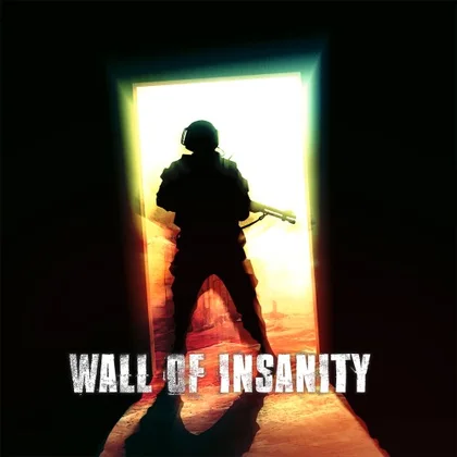 Wall of insanity cover art