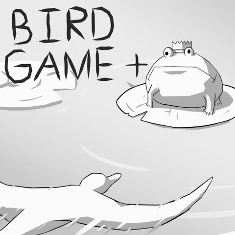 Bird Game + cover art