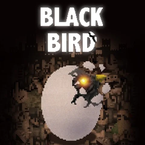 BLACK BIRD cover art