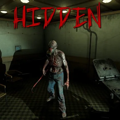 Hidden cover art