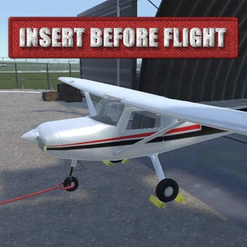 Insert before flight cover art