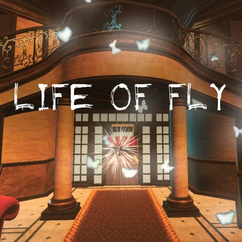 Life of Fly cover art