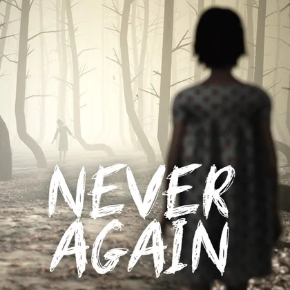 Never Again cover art