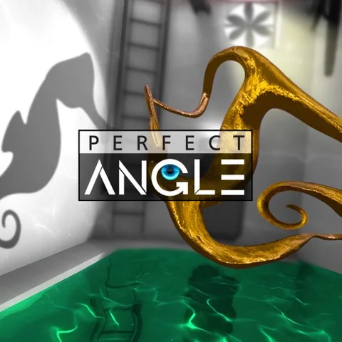 Perfect Angle cover art