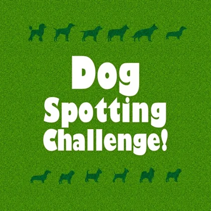 Dog Spotting Challenge! cover art